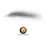 sourcil_simple